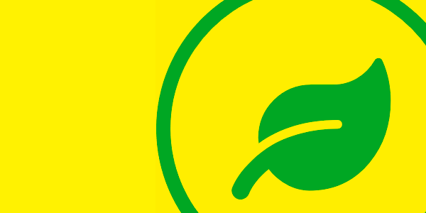 projecte7
