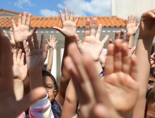 Tornen les eleccions als Consells Escolars de Centre (CEC)